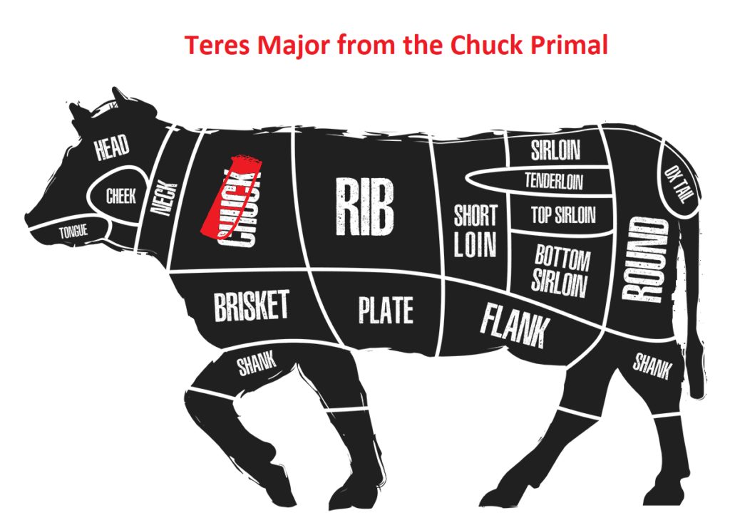 Beef diagram showing where teres major originates from