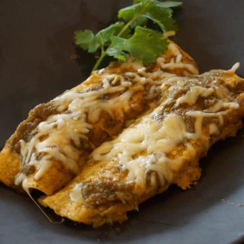 Rick Bayless Recipes Enchiladas Verdes Dandk Organizer