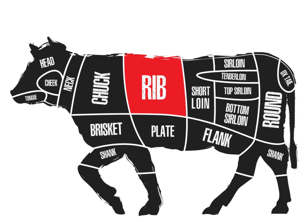 Beef diagram showing where the ribeye originates from.