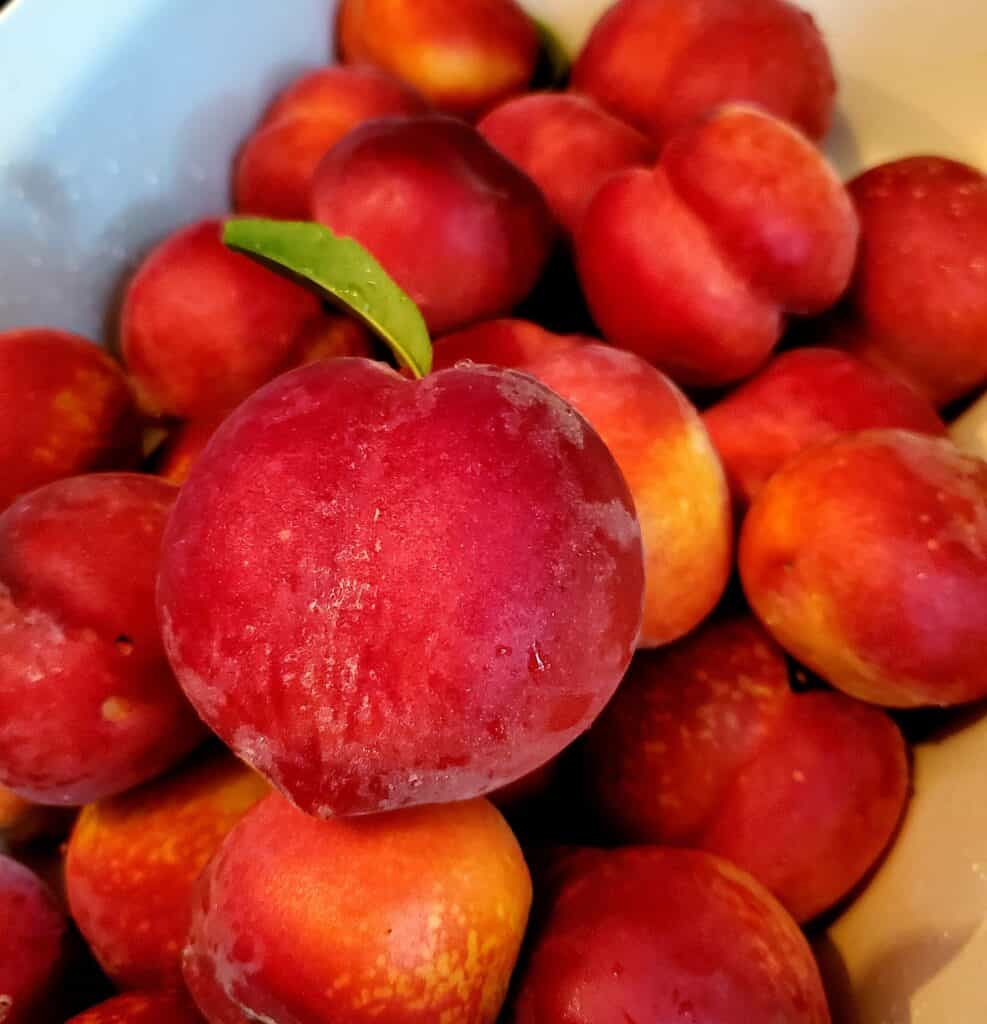 Container of freestone peaches.