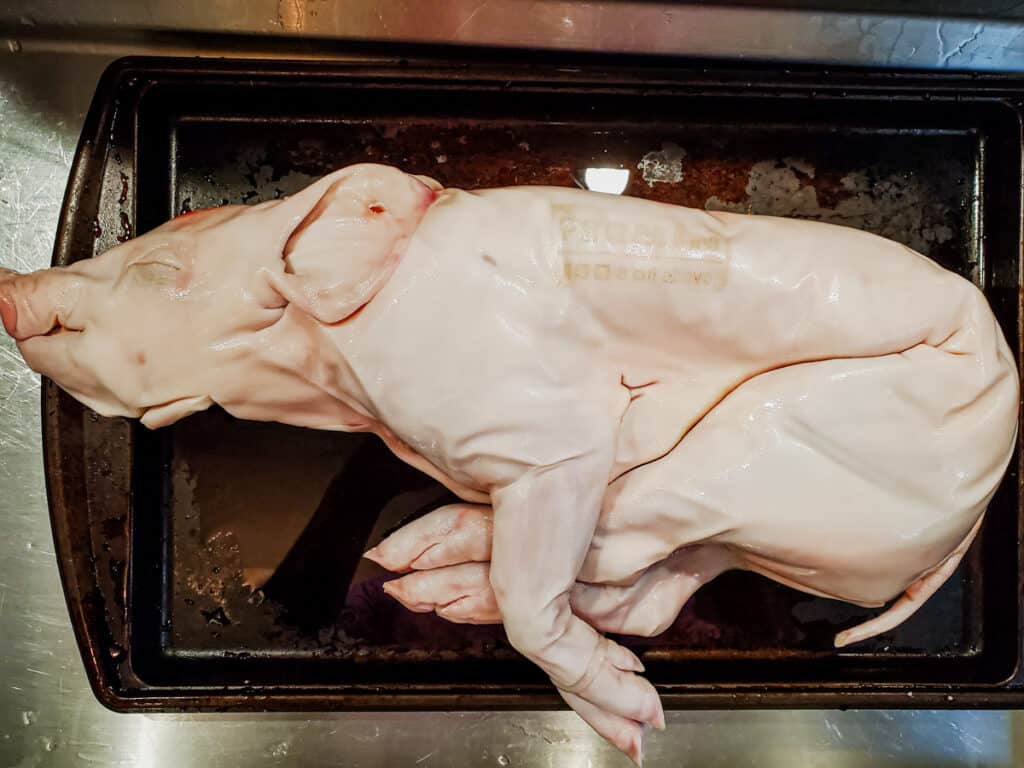 10 pound suckling pig.