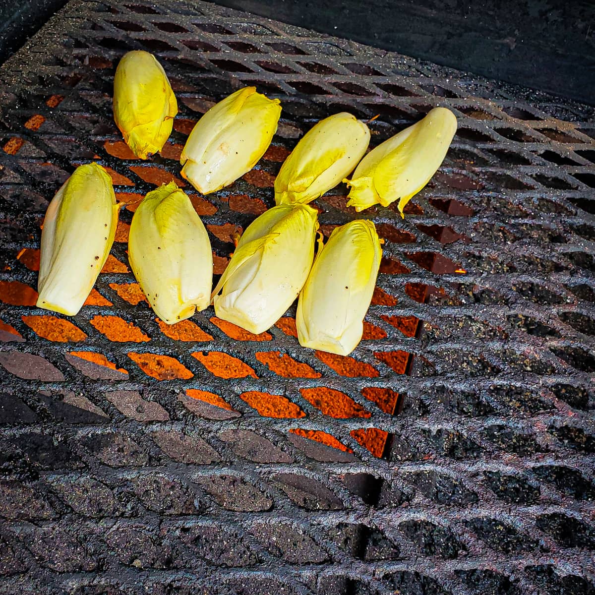 Belgian endive on a grill.