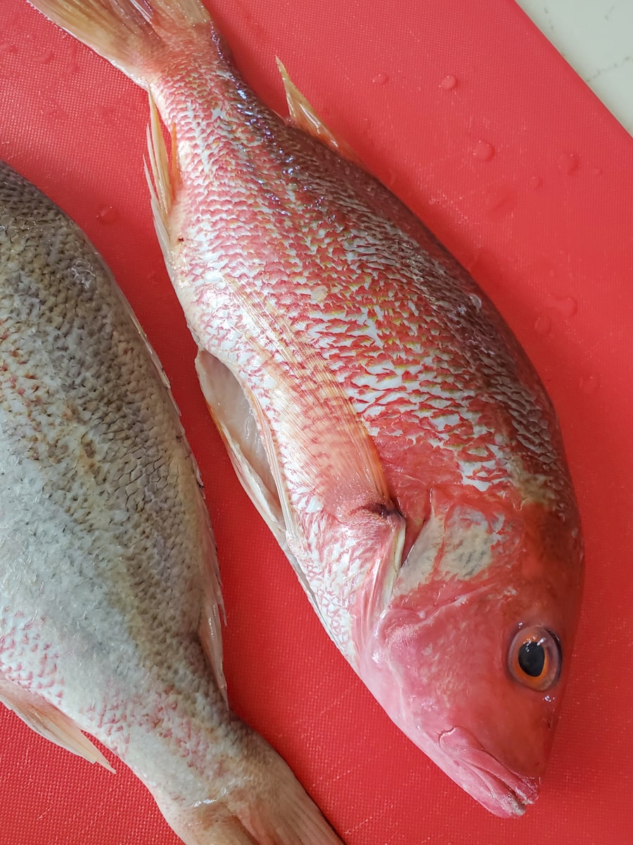 Two whole red snapper on a cutting board.