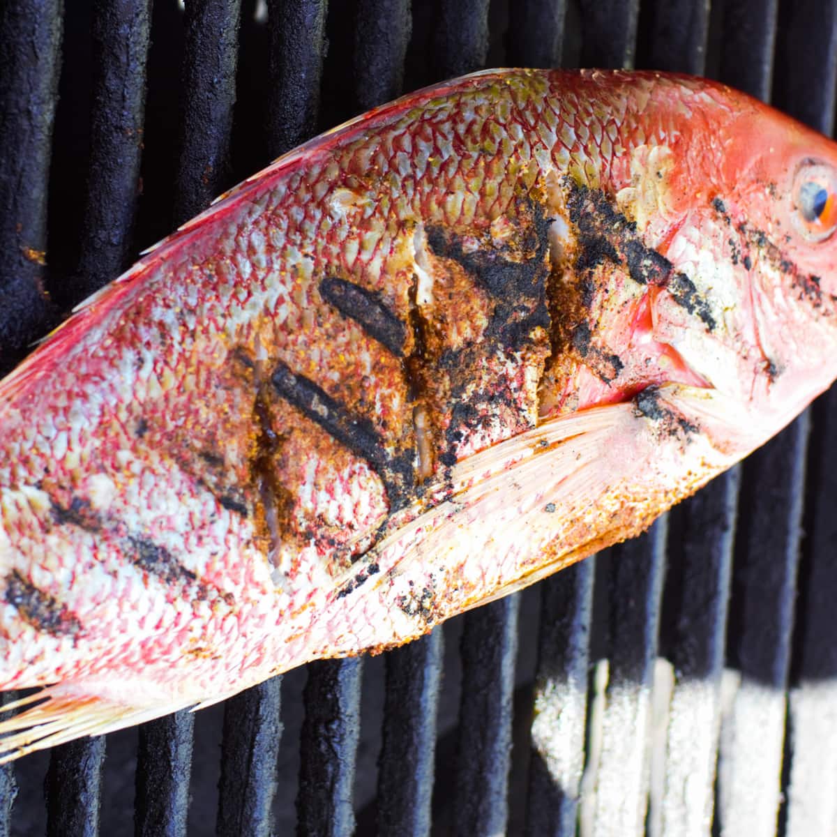 Grilled whole fish, red snapper, on a Big Green Egg.