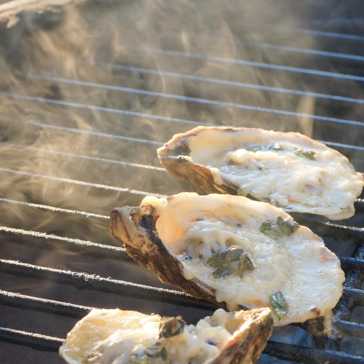 New Orleans Style Chargrilled Oysters, on a Big Green Egg.
