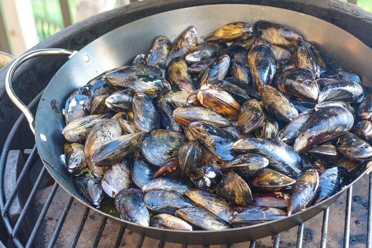 Cooking mussels on a BBQ grill.