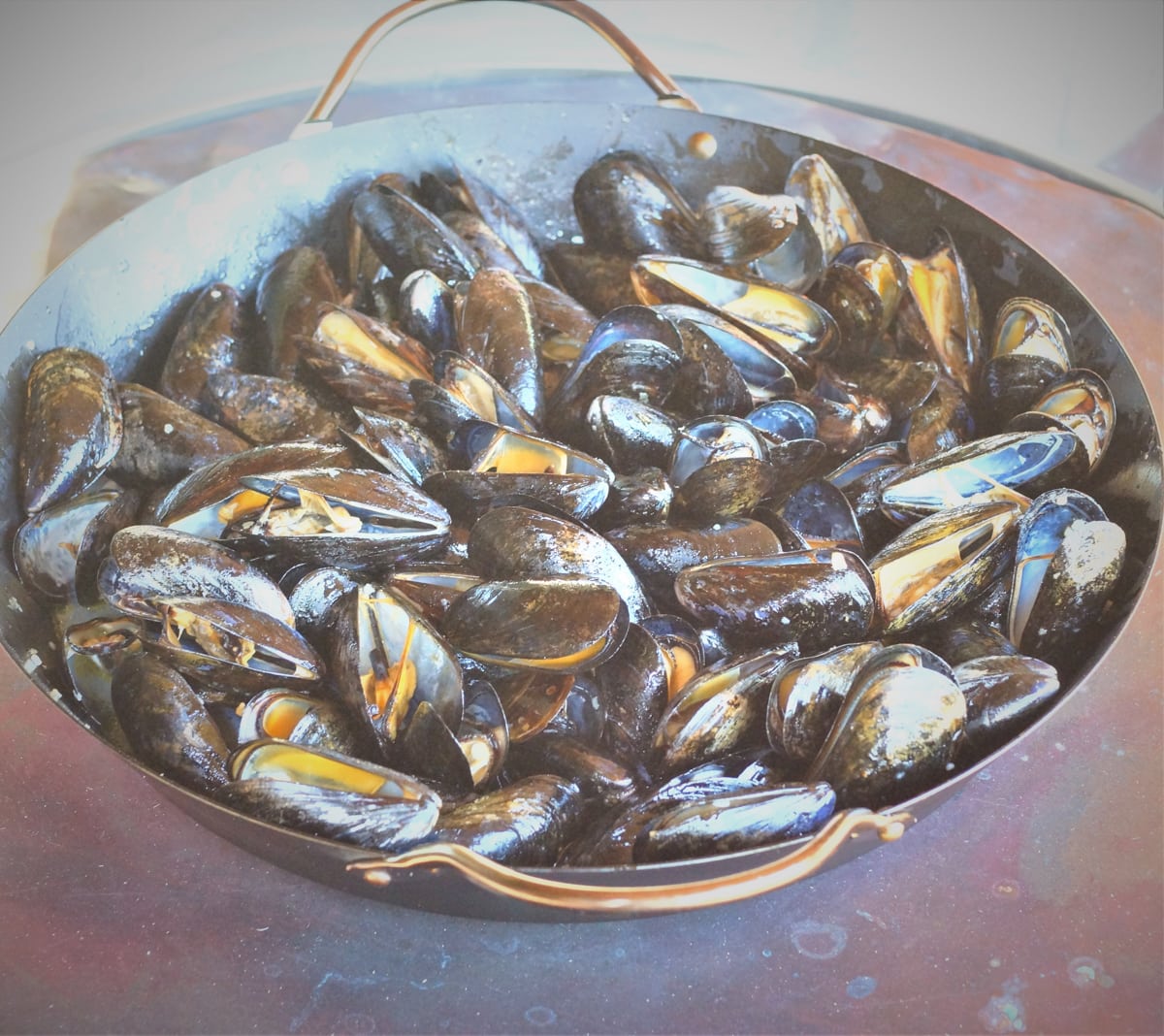 Pan of Croatian style mussels with wine and garlic.