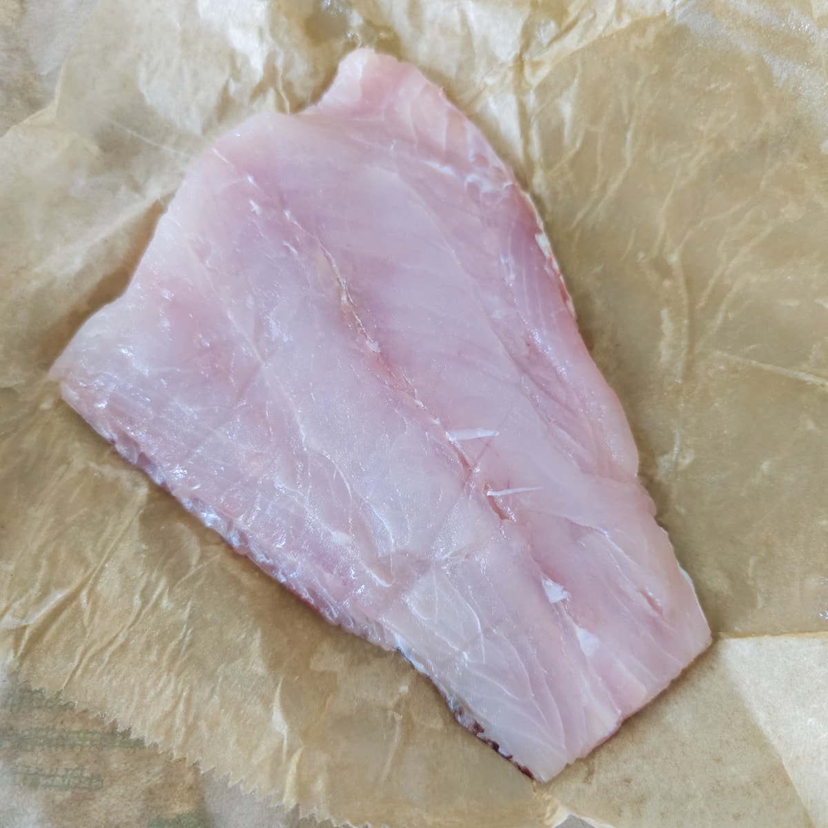 Fresh snapper fillet.