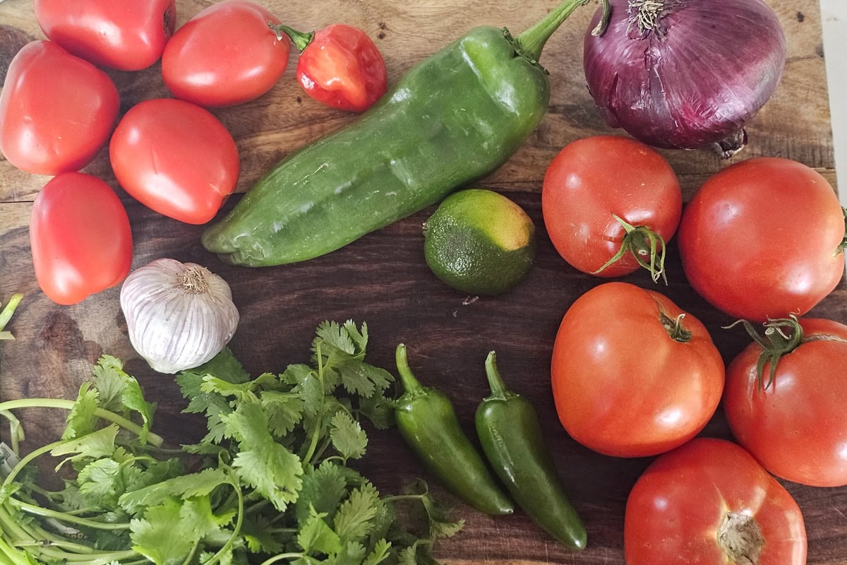 Cutting board with tomatoes, peppers, onion, garlic, and cilantro for making salsa.