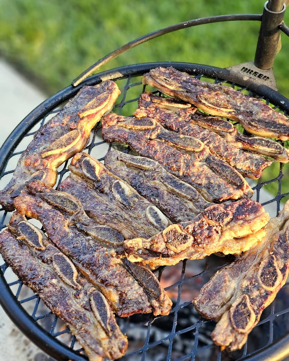 Beef short ribs cooking on a Breeo firepit.
