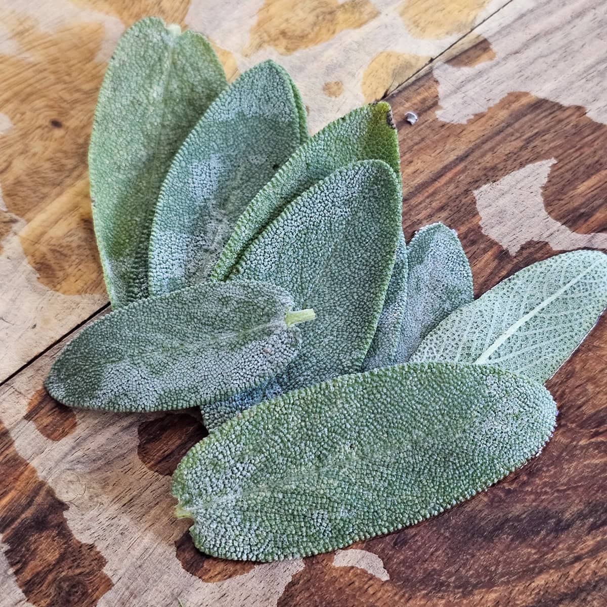 Fresh sage on a cutting board.